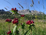 Grande anello dei Laghi della conca del Calvi-26lu23 - FOTOGALLERY